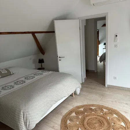 Duplex Au Coeur De L'alsace *