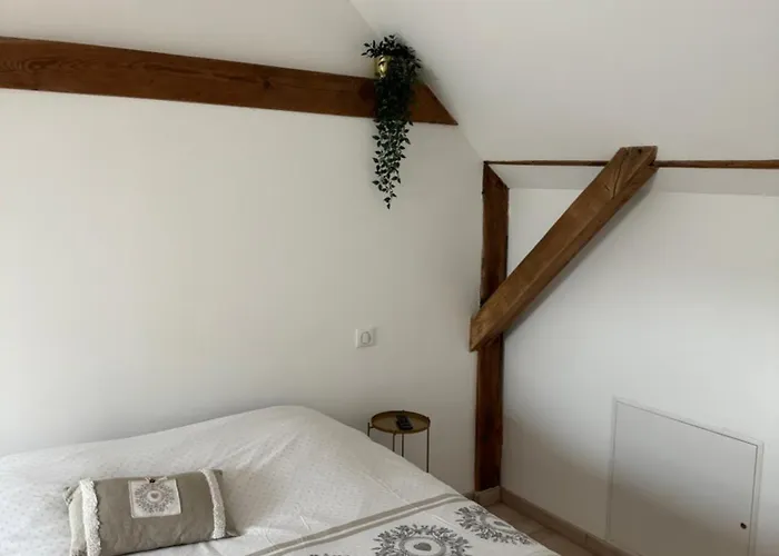 Duplex Au Coeur De L'alsace 公寓